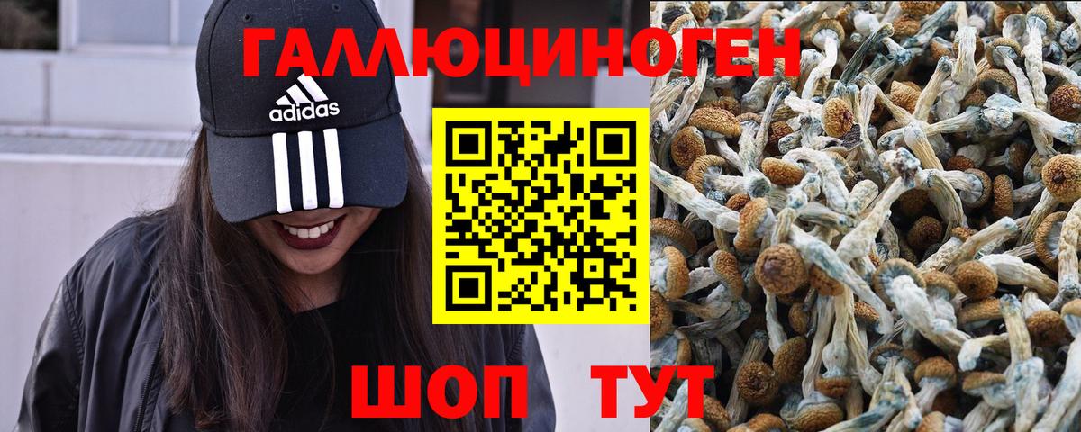 Лангепас  Галлюциногенные грибы ЛСД  Вход с VPN 